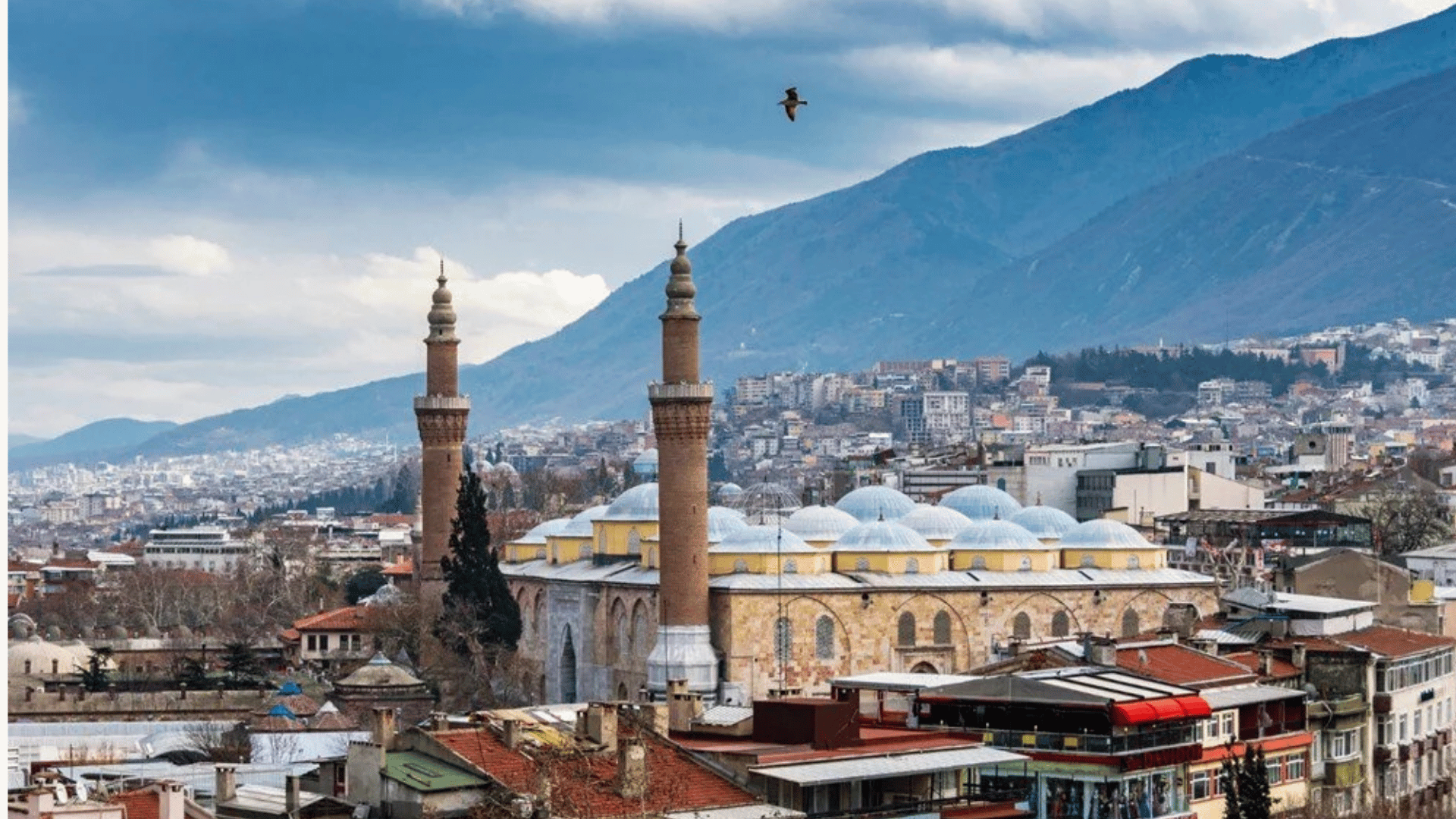 Bursa Moto Kurye