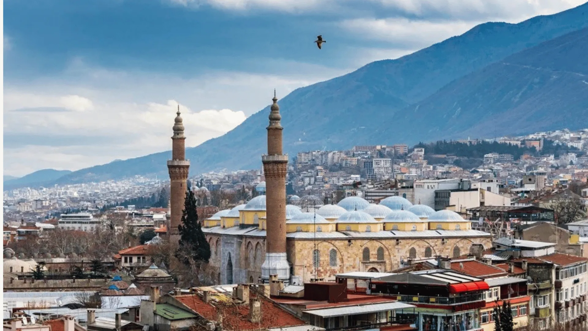 Bursa Moto Kurye
